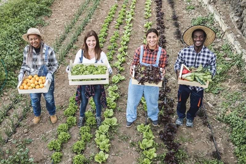 Vier unterschiedlich aussehende Gärtner*innen halten Gemüsekisten in den Händen