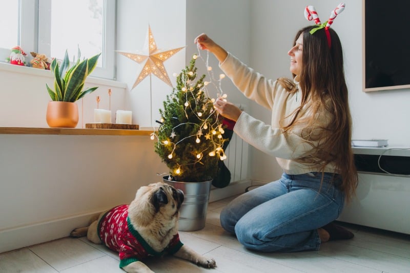Frau schmückt Weihnachtsstrauß und daneben sitzt ein Hund