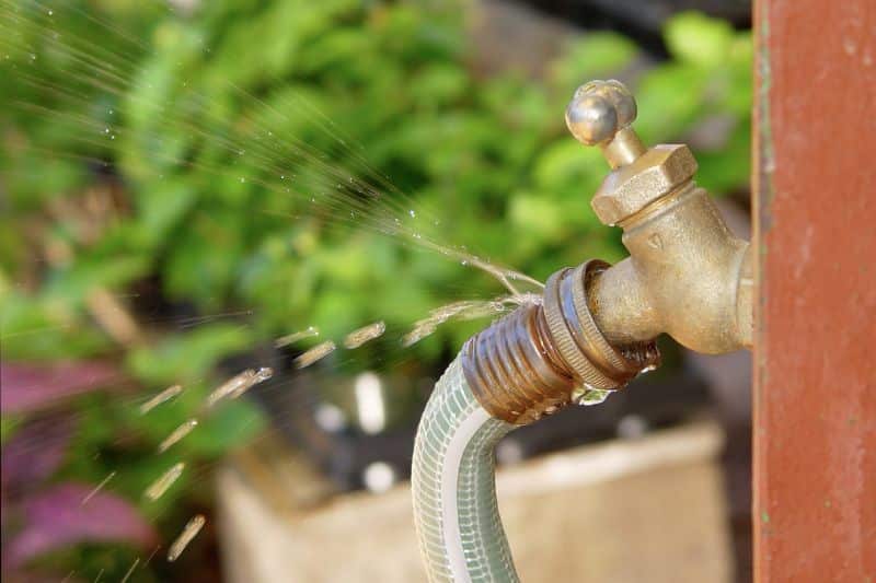 Aus undichtem Gartenschlauch spritzt Wasser