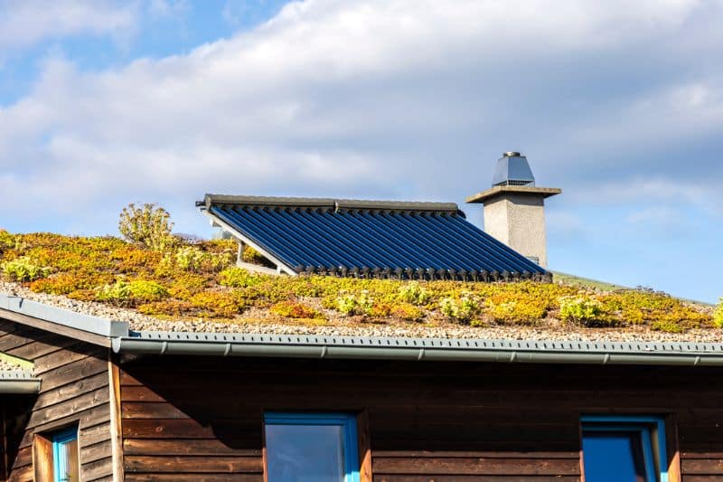 Solarthermieanlage auf einem begrünten Dach