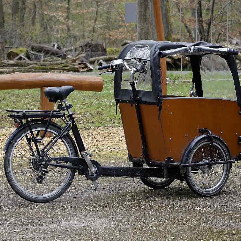 Cargobike im Park.