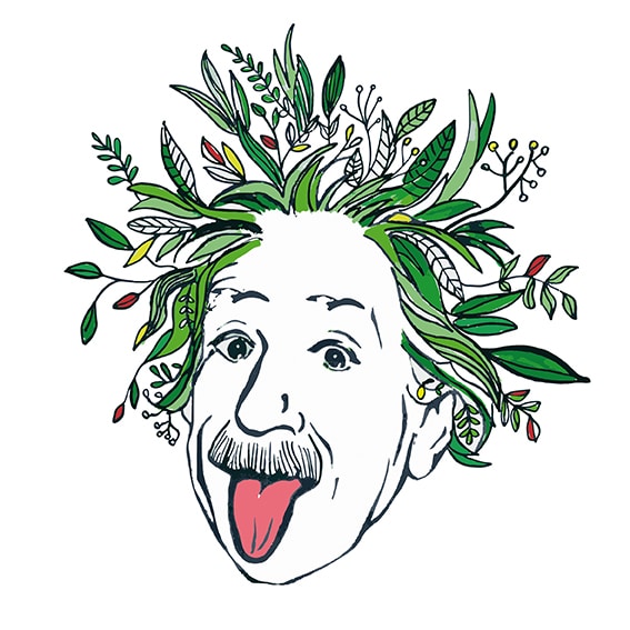 Logo Umwelt-Einstein